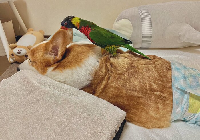 「おかえり〜」