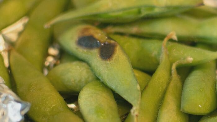 オーブンで焼いた枝豆（提供：メビウス）