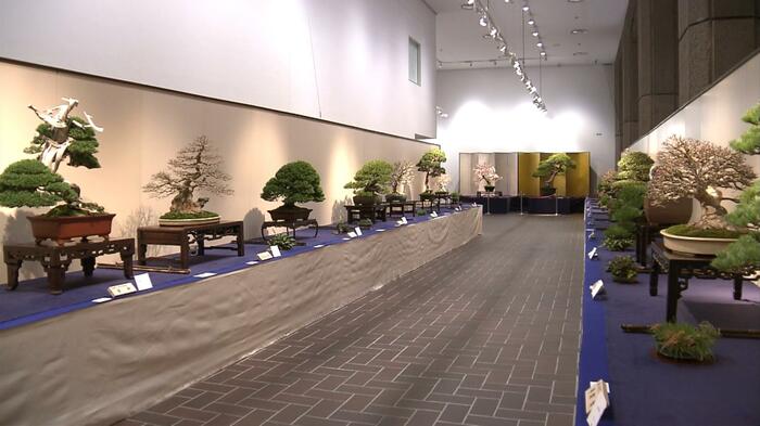 第98回 国風盆栽展・後期(東京・台東区)