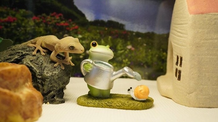 カタツムリに水を掛けてあげるカエルを見守るするめちゃん