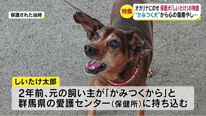 提供写真