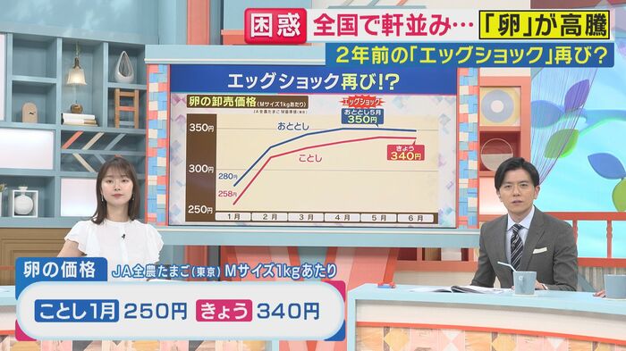 卵の価格 1月258円→6月2日340円