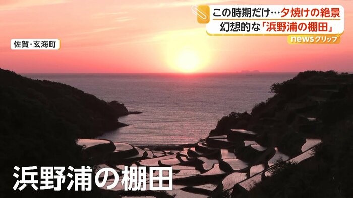 見頃を迎えた「浜野浦の棚田」