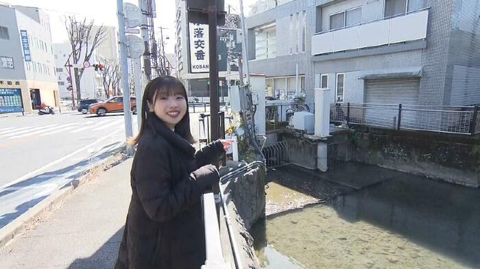 交番の前を左右に走っているのが北街道