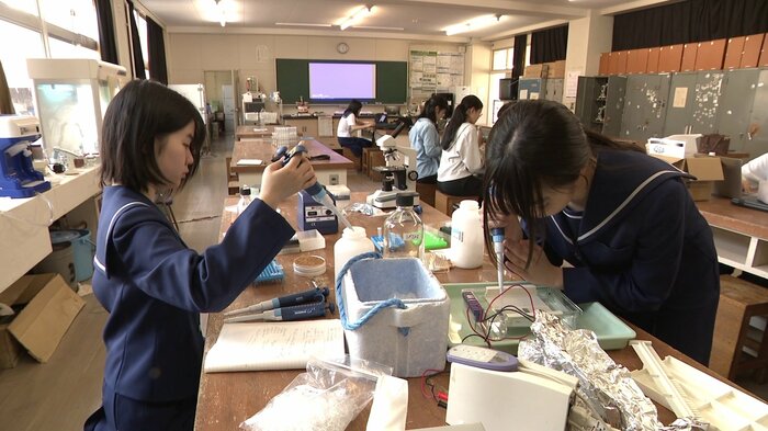 自ら選んだ研究課題に日々取り組む生物部の部員たち