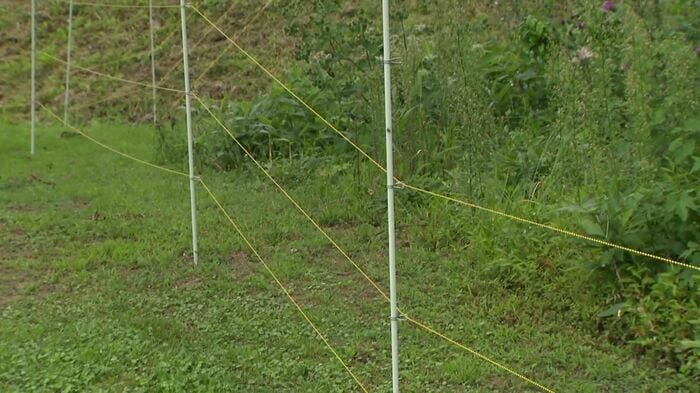 学校周辺に電気柵と監視カメラを設置