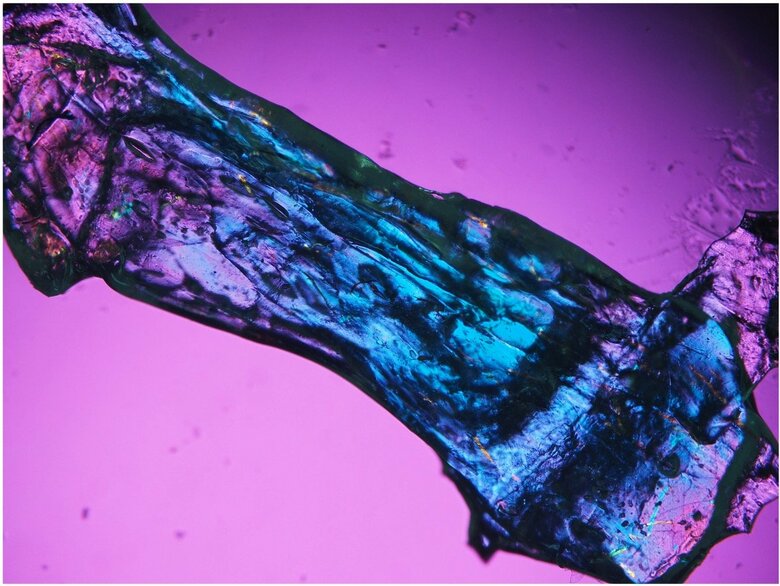 【大阪工業大学】海の宝石に着想得た新発光材料を開発