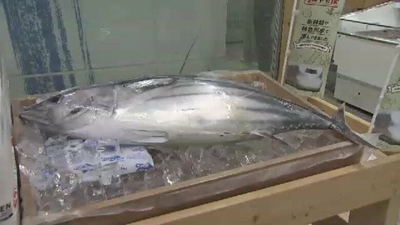 “朝まで泳いでいた”生カツオのたたきが午前中に福岡へ　九州新幹線で鹿児島からスピード輸送　2カ月ぶりに復活｜FNNプライムオンライン