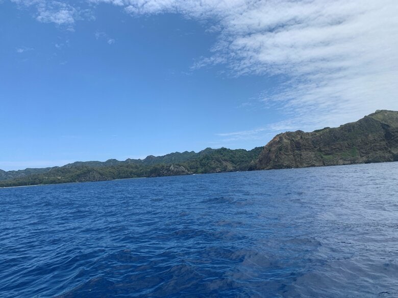 小笠原諸島・南島「イルカと一緒に泳げる」ツアーも！世界遺産のエコツーリズムを支える観光ガイド　北海道・知床ではクマ親子に遭遇｜FNNプライムオンライン