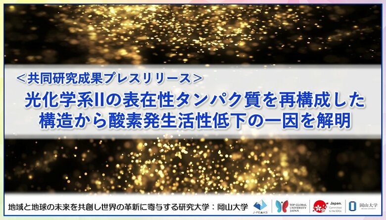 光化学系IIの表在性タンパク質を再構成した構造から酸素発生活性低下の一因を解明〔静岡大学, 岡山大学〕