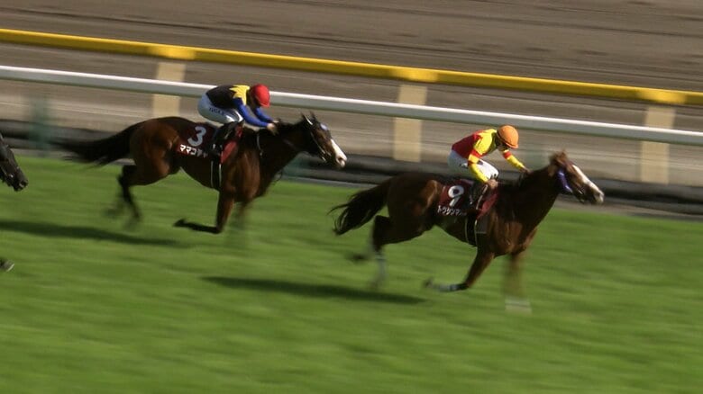 【紫苑S＆セントウルS】秋競馬スタート！ラストティアラ・秋華賞への熱きトライアル＆スプリント王目指す2頭が6度目の直接対決！｜FNNプライムオンライン