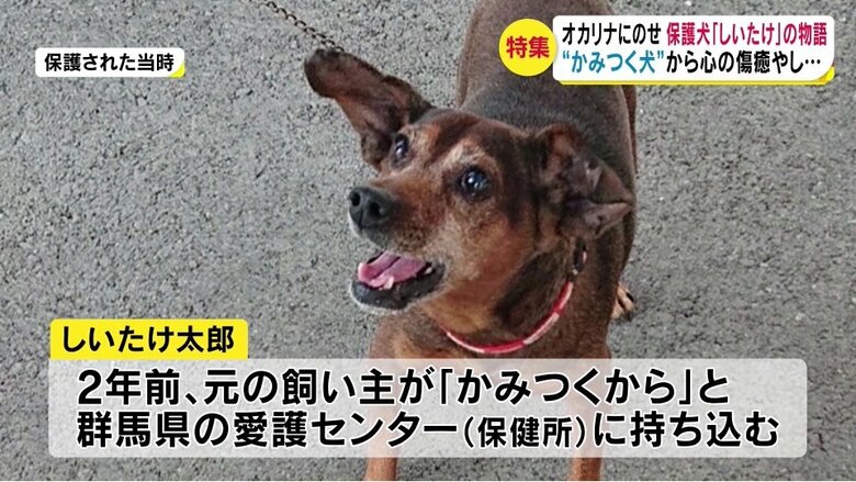 提供写真