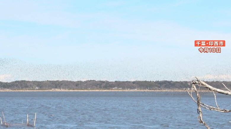 巨大な竜巻のようにうねりながら飛んでいる