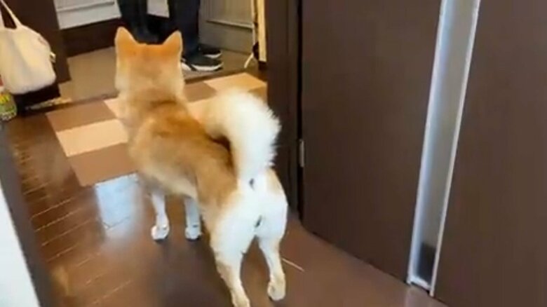 毎朝しっかりお見送りをする