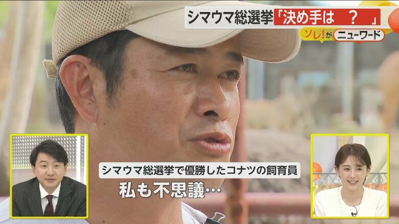 優勝した決め手について「私も不思議…」と話すコナツの飼育員