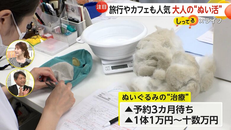 予約3ヶ月待ちだという「ぬいぐるみの治療」