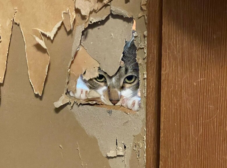 ふすまの穴からこちらをじっと見つめる、弥勒くん