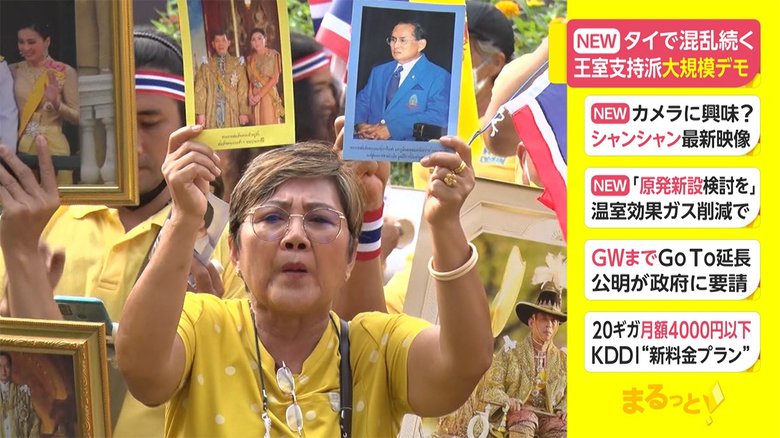 タイで混乱続く 王室支持派 大規模デモ