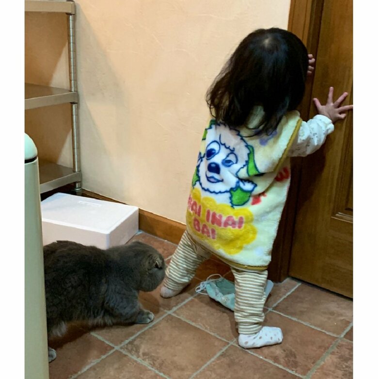 イタズラをしようとしている娘さんとたこやきくん