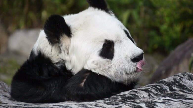 2024年1月撮影　神戸市提供