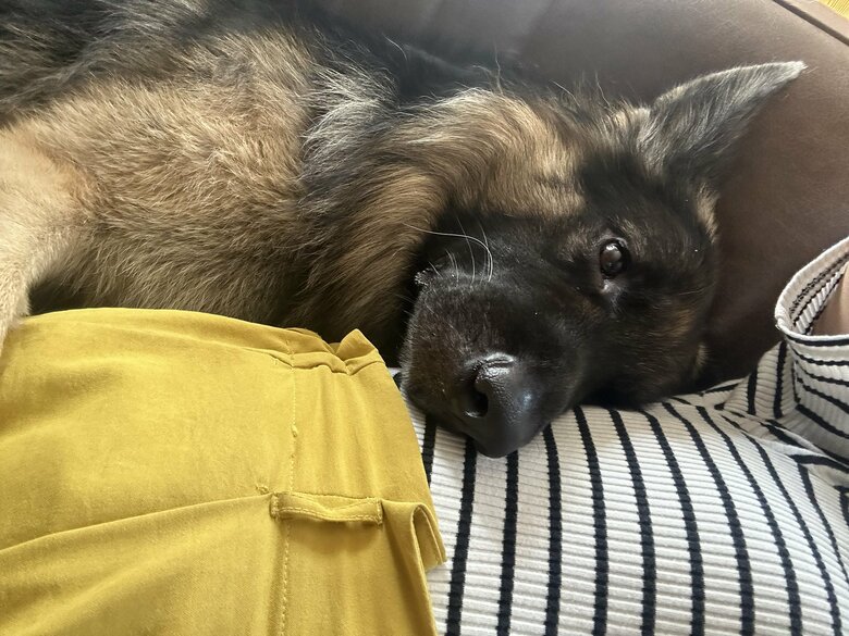 リラックスの表情