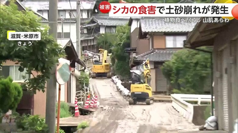 2023年から3回、土砂災害が起きている伊吹山