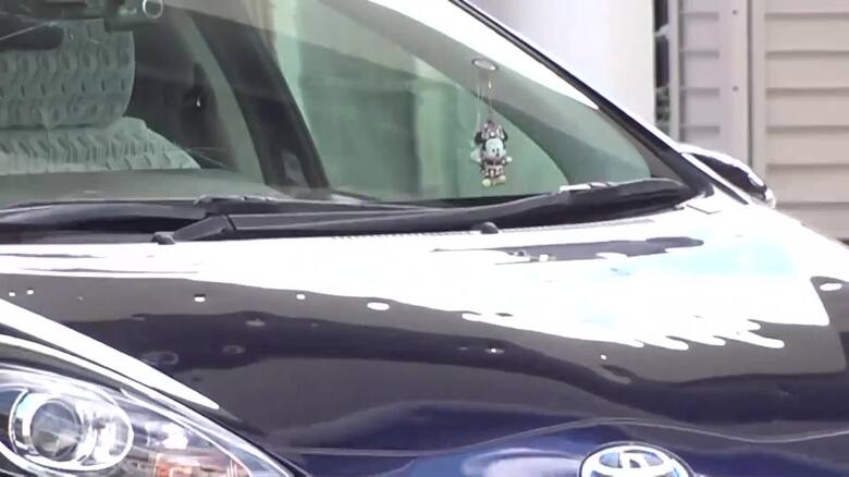 ひょうの被害の様子