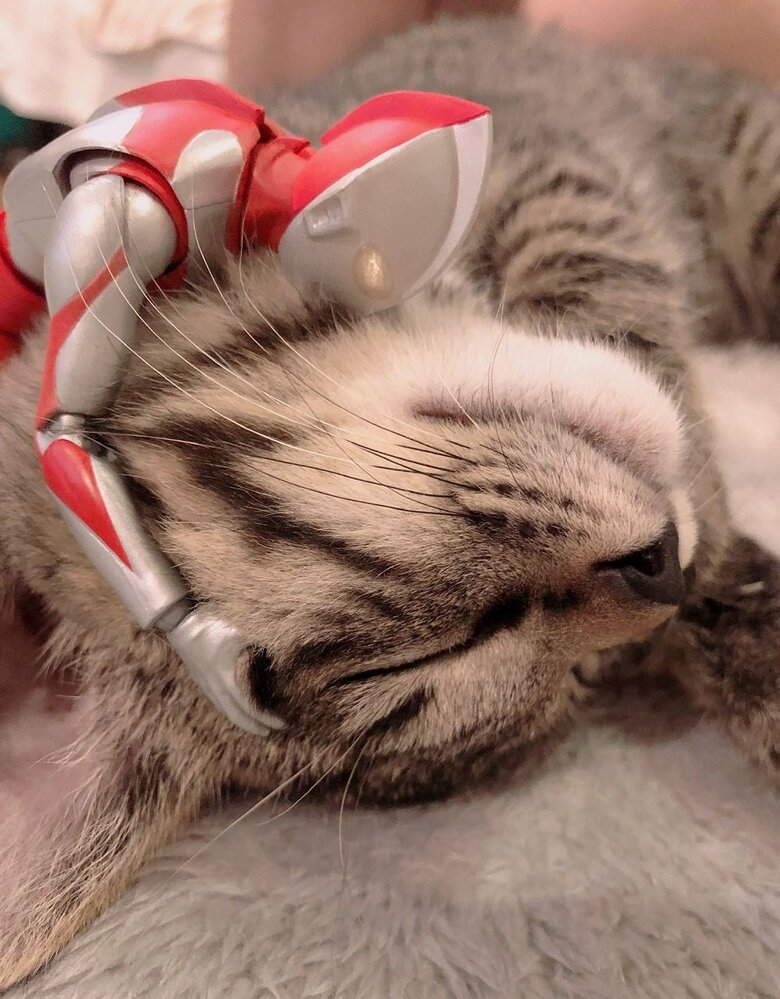 アテチちゃんに抱きつくうるちょらさん