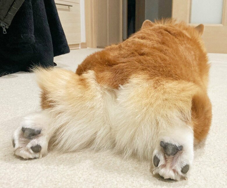 提供：むぎん家＠きよらさん