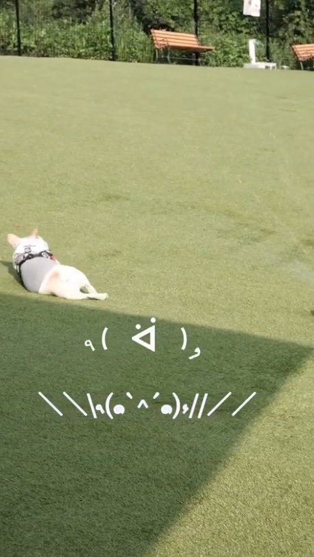 提供：むぎさん