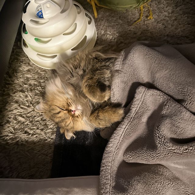 提供：ひなたさん