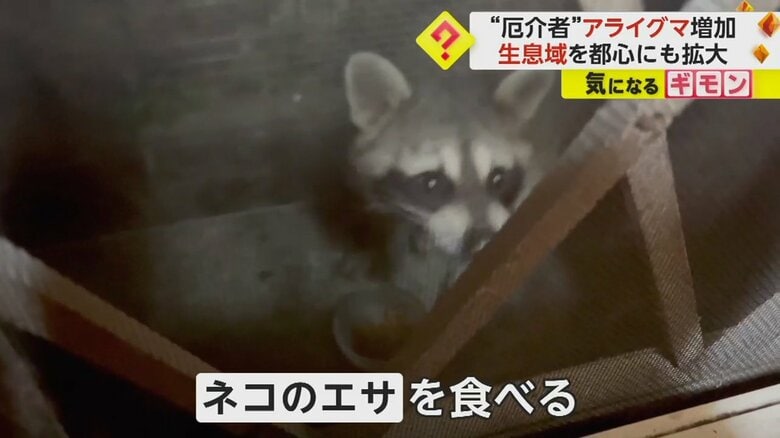（FNN投稿サイト「ビデオPost」）