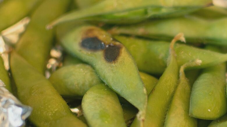 オーブンで焼いた枝豆（提供：メビウス）