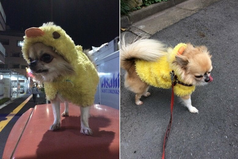 現在も、ひよこモチーフの服を愛用。※画像は2021年年末に撮影（提供：榊 柾人さん）