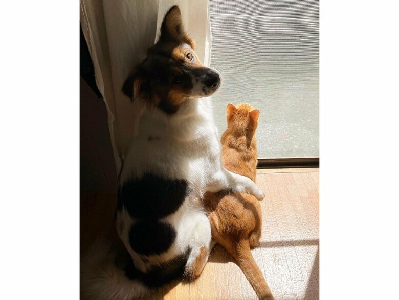 提供：naomiさん