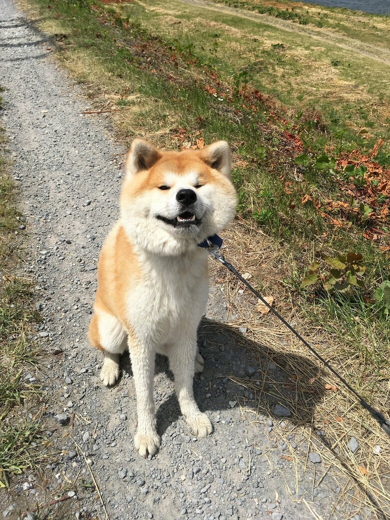 雪がなくても散歩が好きなので、帰りたくない！