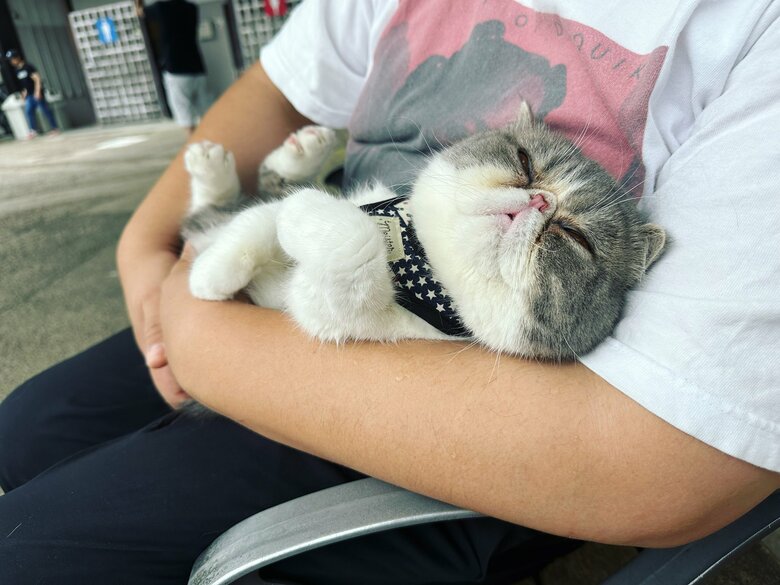 お父さんに抱かれて満足気な様子