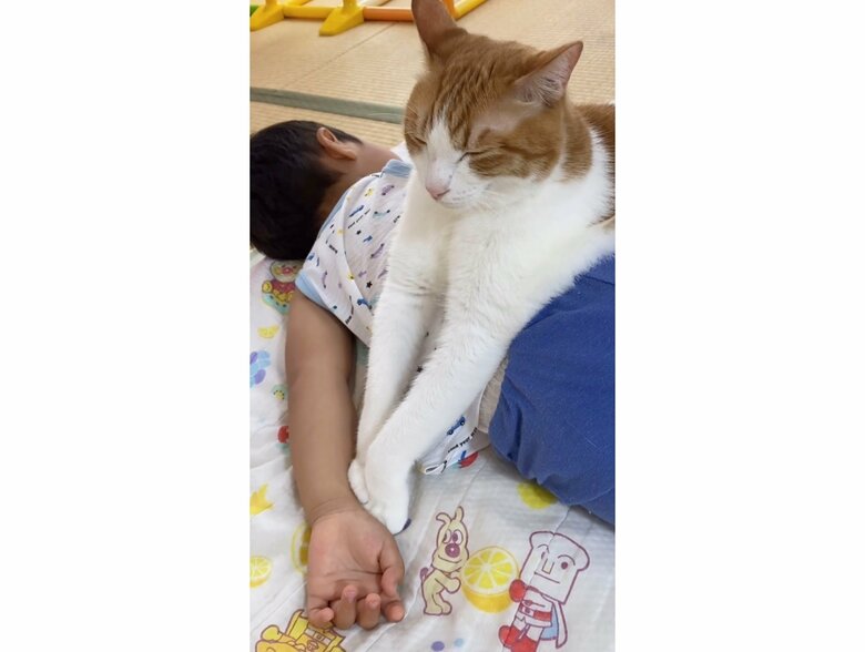 提供：Hassakuさん