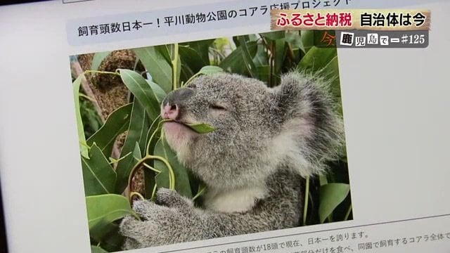 クラウドファンディング型のふるさと納税は、応援したい事業を指定して寄付