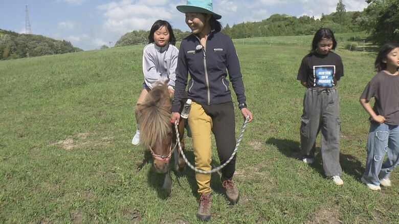 乗馬を通じが様々な効果
