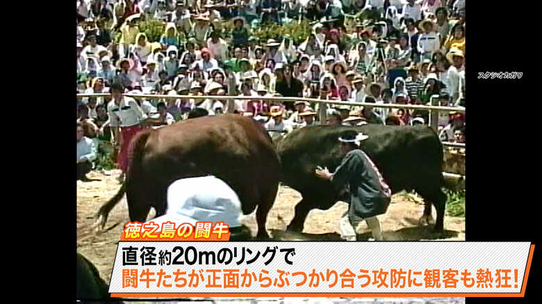 画像：スタジオカガワ