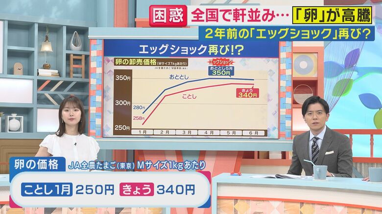 卵の価格　1月258円→6月2日340円