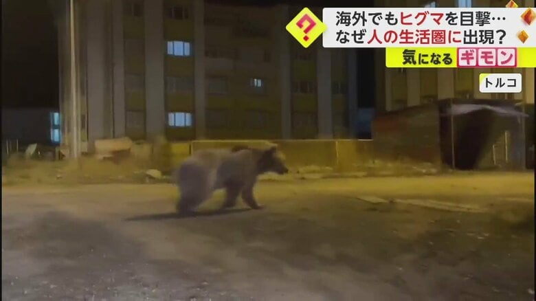 住宅街を悠々と走り抜ける