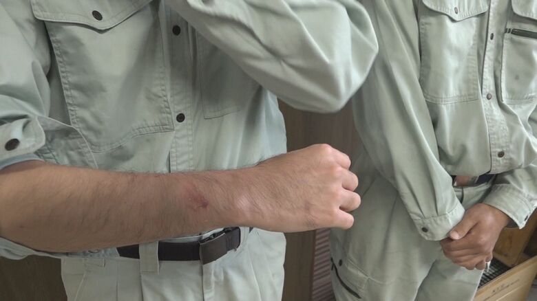 NST新潟総合テレビ