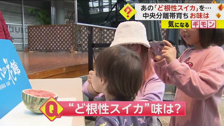 切った“ど根性スイカ”を頬張り記念撮影する親子
