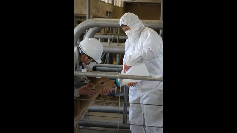 御料牧場に滞在されている際のご一家の写真が公開された（宮内庁提供）