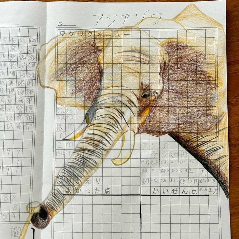 宿題のプリント「アジアゾウ」