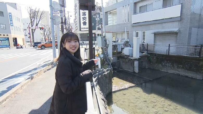 交番の前を左右に走っているのが北街道