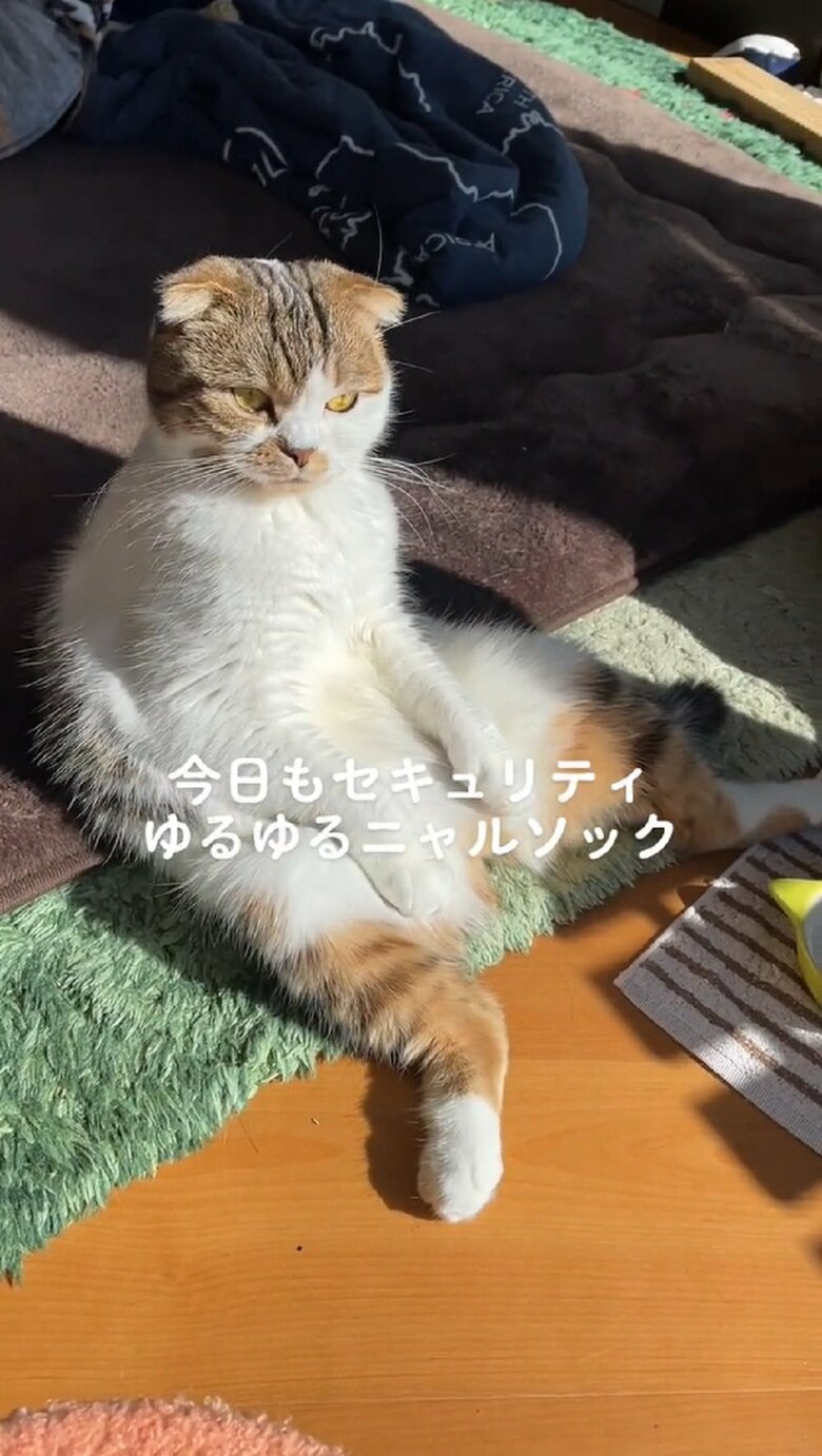 ここはどこ？