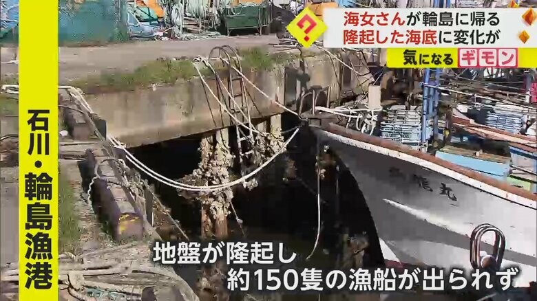 地震の影響による地盤隆起で港から出られない漁船